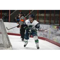 North Iowa Bulls forward Tyler Braccini
