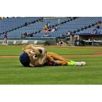 Gwinnett Stripers mascot Chopper takes a rest