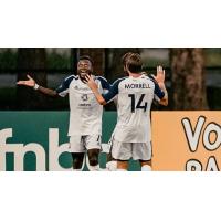 South Georgia Tormenta FC reacts after Kingsford Adjei's goal against the Northern Colorado Hailstorm FC