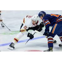 Vancouver Giants forward Jaden Lipinski