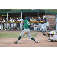 Vermont Mountaineers' Cox Tyler at bat