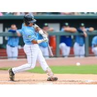 Omar Hernandez of the Columbia Fireflies