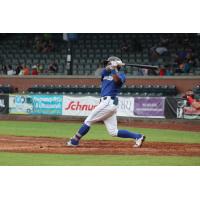 Evansville Otters in action