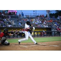 Fayetteville Woodpeckers at bat