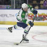 Forward Devon Paliani skating for the Maine Mariners