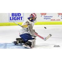 Norfolk Admirals goaltender Jeremy Brodeur