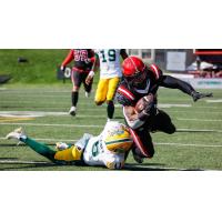 Calgary Stampeders battle the Edmonton Elks