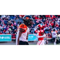 B.C. Lions wide receiver Dominique Rhymes