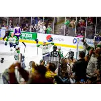 Maine Mariners react after a goal at home