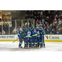 Maine Mariners celebrate on the ice