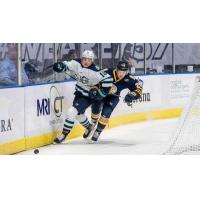 Maine Mariners forward Nick Jermain (left) skates against the Norfolk Admirals