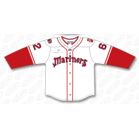 Maine Mariners' Portland Sea Dogs specialty jersey
