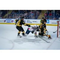 Springfield Thunderbirds battle the Providence Bruins