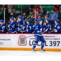 Toronto Marlies celebrate win