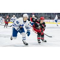 Grand Rapids Griffins defenseman Albert Johansson (right) vs. the Toronto Marlies