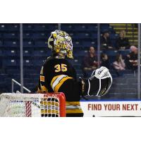 Ggoaltender Brandon Bussi with the Providence Bruins