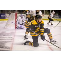 Maine Mariners forward Nick Jermain in the team's Bruins-inspired jersey