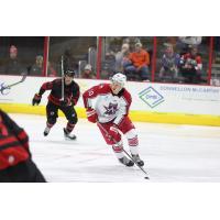 Allen Americans' Jackson Leppard and Cincinnati Cyclones' Matt Berryon the ice