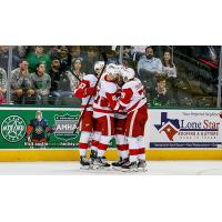 Grand Rapids Griffins huddle up after a goal against the Texas Stars