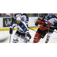 Victoria Royals' Wyatt Wilson in action