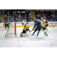 Springfield Thunderbirds vs. Wilkes-Barre/Scranton Penguins
