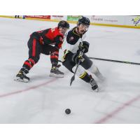 Cincinnati Cyclones battle the Iowa Heartlanders