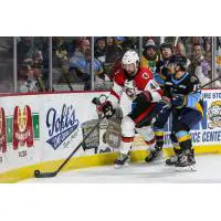 Cincinnati Cyclones' Justin Vaive versus Toledo Walleye's Tommy Parran