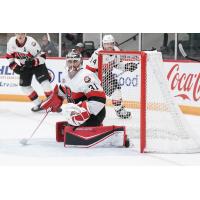 Goaltender Kevin Mandolese with the Belleville Senators