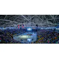 The crowd at a Florida Everblades game