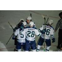 Maine Mariners celebrate a goal