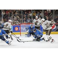 Springfield Thunderbirds battle the Hershey Bears