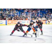 Rapid City Rush's Quinn Wichers And Colton Leiter Battle Tulsa Oilers' Dante Sheriff