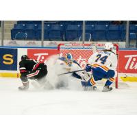 Saskatoon Blades' Tanner Molendyk in action
