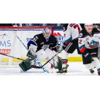 Victoria Royals' Braden Holt in action