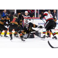 Vancouver Giants in action