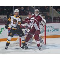 Peterborough Petes battle the Hamilton Bulldogs