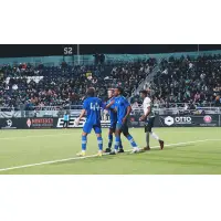 San Jose Earthquakes celebrate win