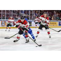 Rapid City Rush defenseman Carter Robertson vs. the Wichita Thunder