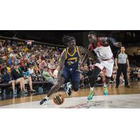 Edmonton Stingers drive to the hoop