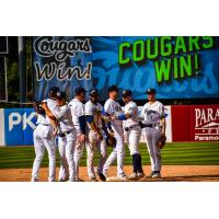 Kane County Cougars exchange congratulations after a win