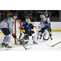 Atlanta Gladiators battle the Greenville Swamp Rabbits