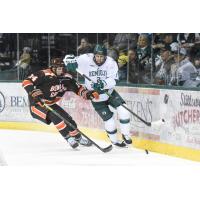 Defenseman Will Zmolek with Bemidji State (right)