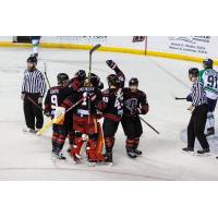 Rapid City Rush celebrate win