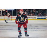 Grand Rapids Griffins forward Matt Luff