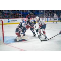 Hartford Wolf Pack's Louis Domingue and Zac Jones battle Springfield Thunderbirds' Mikhail Abramov