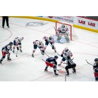 Springfield Thunderbirds battle the Hartford Wolf Pack