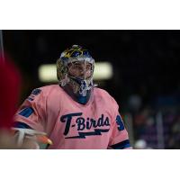 Springfield Thunderbirds goaltender Joel Hofer