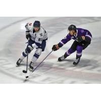 Worcester Railers forward Anthony Repaci (left)