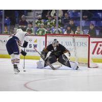 Vancouver Giants goaltender Jesper Vikman awaits a shot from the Kamloops Blazers
