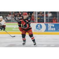 Grand Rapids Griffins right wing Taro Hirose